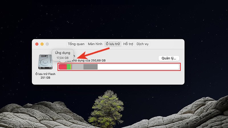 Biểu đồ phân loại dung lượng lưu trữ đã sử dụng trên MacBook