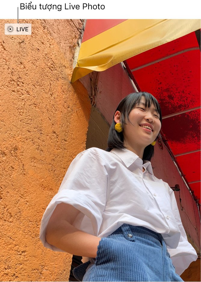 Biểu tượng Live Photo hiển thị trên ảnh trong thư viện của MacBook.