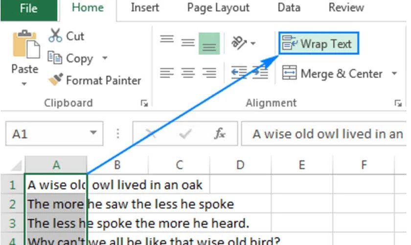 Cách dùng Wrap Text để tự động xuống dòng trong Excel trên MacBook