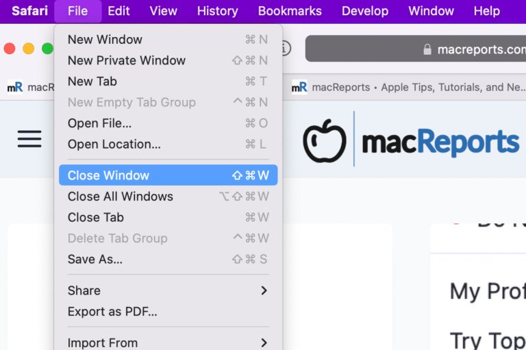 Đóng cửa sổ Safari thông qua tùy chọn Close Window trong menu File