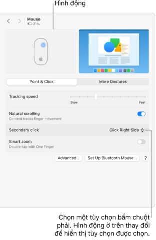 Giao diện cài đặt Chuột trong Cài đặt hệ thống macOS hiển thị tùy chọn chuột phải trên MacBook.