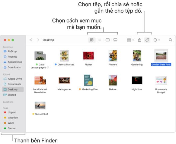 Giao diện cửa sổ Finder hiển thị các tùy chọn quản lý tệp trên MacBook