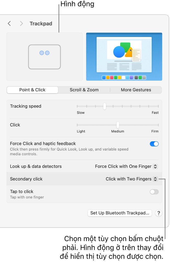Màn hình cài đặt Bàn di chuột trên MacBook với tùy chọn chuột phải trên MacBook bằng hai ngón tay.