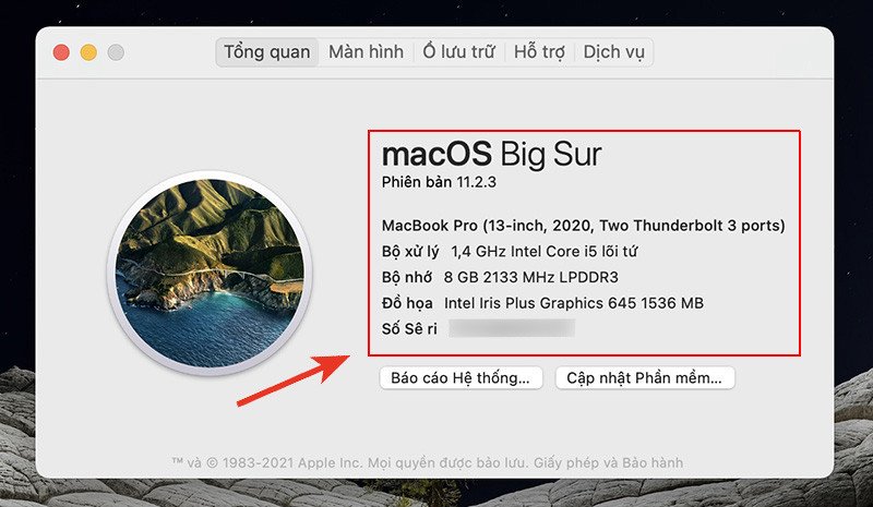 Mục Tổng quan cung cấp chi tiết về cấu hình phần cứng MacBook