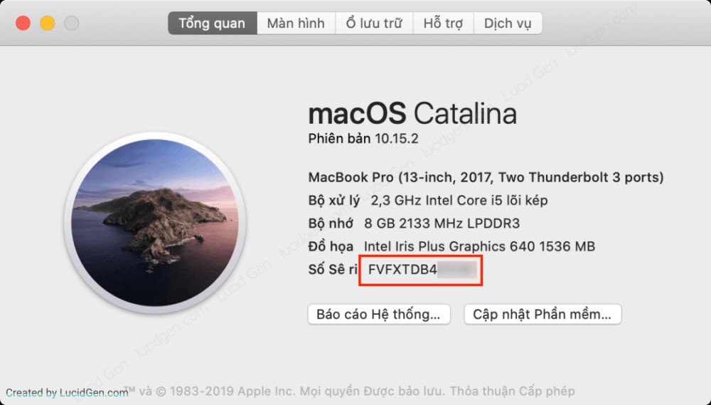 Sao chép dãy số Serial MacBook từ cửa sổ thông tin thiết bị
