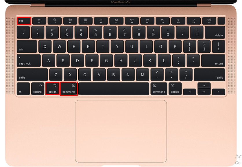 Sử dụng tổ hợp phím Command Option Esc để mở cửa sổ Force Quit Applications