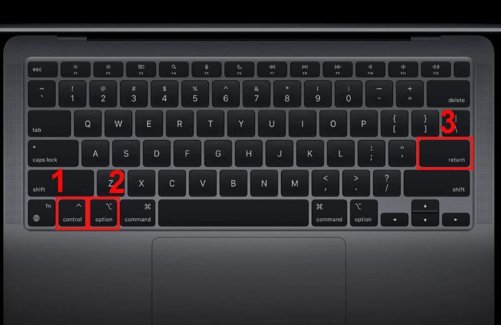 Sử dụng tổ hợp phím Control + Option + Enter để ngắt dòng trong Excel MacBook