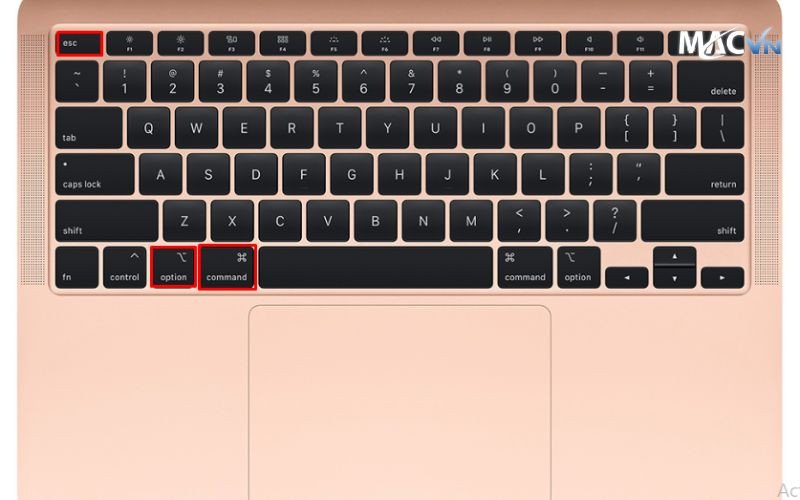 Sử dụng tổ hợp phím để kích hoạt Force Quit, giúp tắt hết tab trên MacBook nhanh chóng.