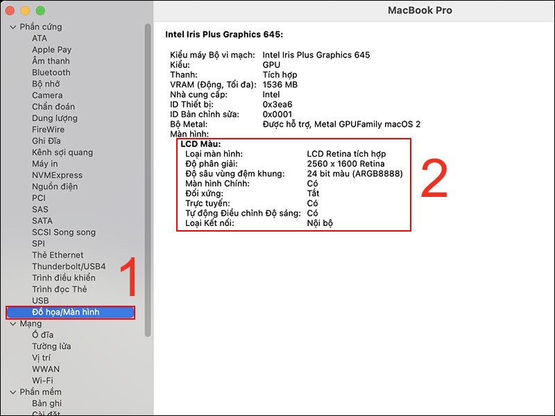 Thông tin màn hình MacBook chi tiết trong phần Đồ họa/Màn hình
