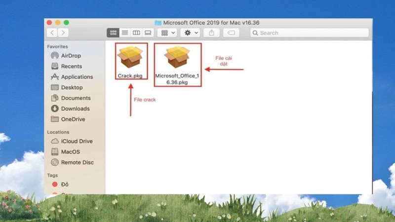 Thư mục chứa các tệp cài đặt Microsoft Office cho macOS