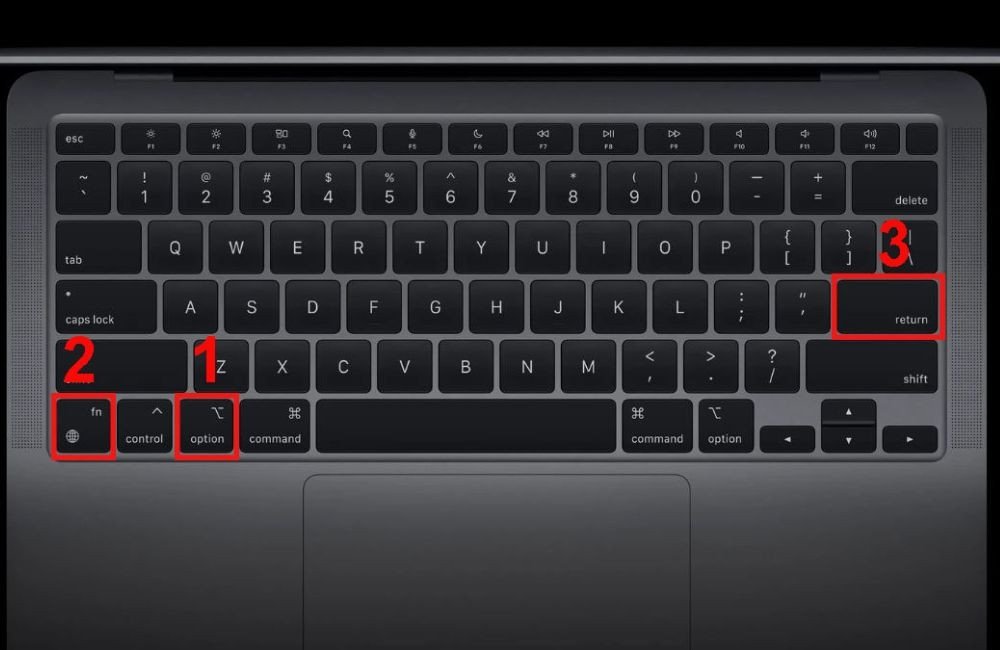 Thực hiện tổ hợp phím Option Fn Enter để xuống dòng trong Excel MacBook
