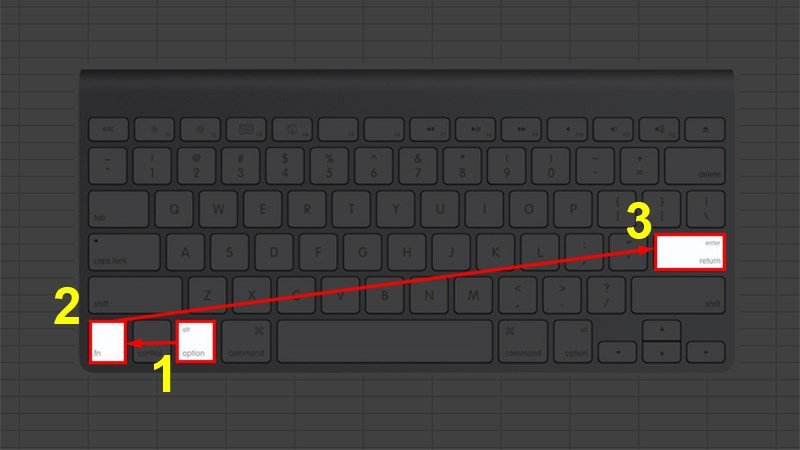 Thực hiện tổ hợp phím Option + fn + Enter để xuống dòng trong Excel trên MacBook