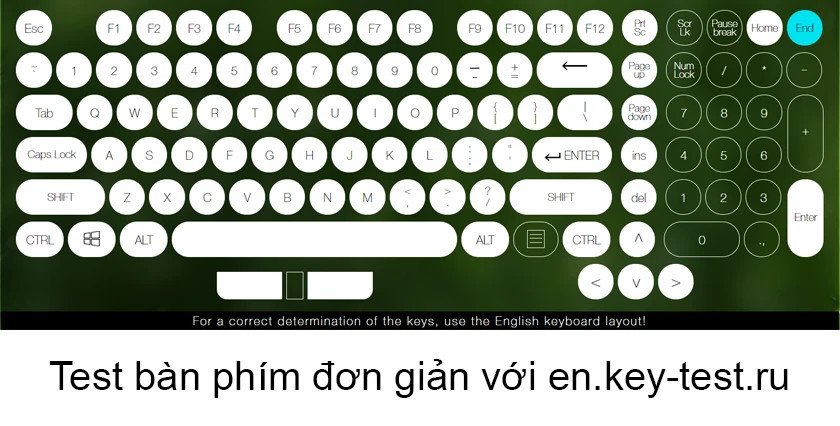 Trang web En.key-test.ru hiển thị các phím sáng khi được nhấn để test bàn phím