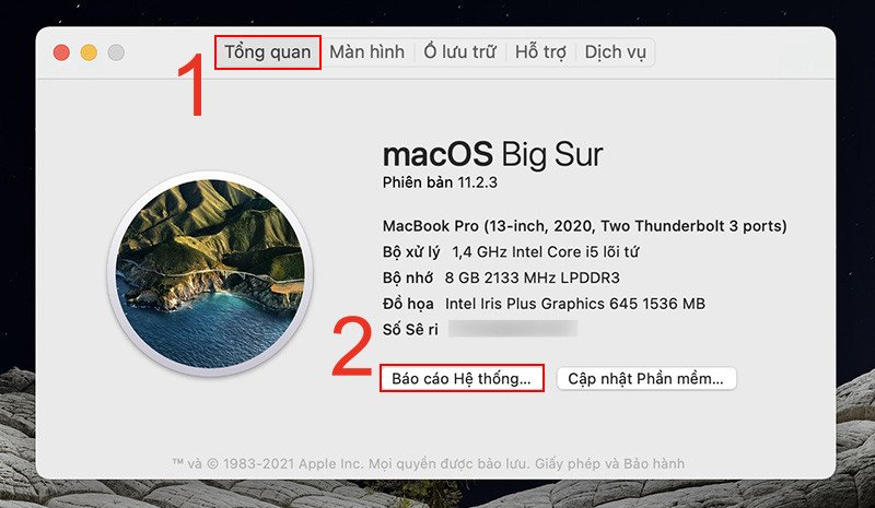 Truy cập Báo cáo Hệ thống để có cái nhìn sâu hơn về cấu hình MacBook