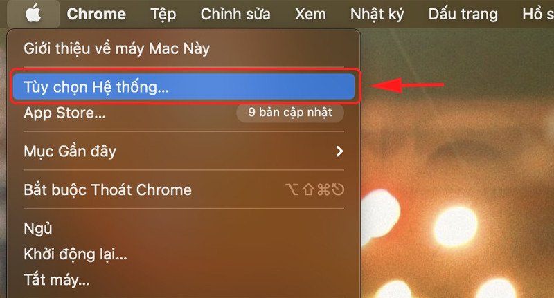 Truy cập Tùy chọn Hệ thống để quản lý tài khoản và đặt lại khi quên mật khẩu MacBook Pro